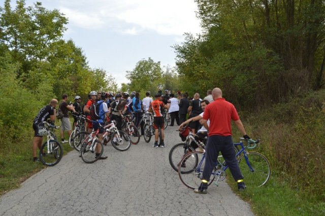 Miholje 2012